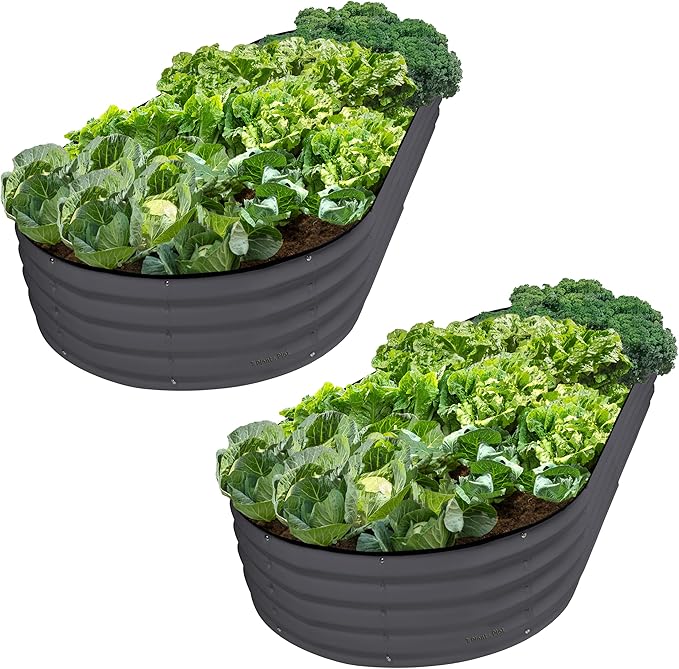 Plant & Plot Galvanized Raised Garden Beds Outdoor // 8×4×1 ft (2-Pack) Planter Raised Beds for Gardening, Vegetables, Flowers // Large Metal Garden Box // Patented Tool-Free Design (Gray) PlantPlot