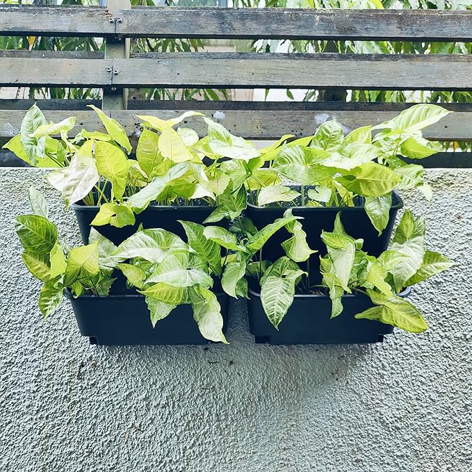 Maxona Black Color Vertical Garden Planter - 4 Pack, 13 inch Wall Mounted Planter for Patio Outdoor Decor, Home Plastic Pot Balcony Plant Vegetable Fruit Herb Hanging Pocket Holder Flowerpot Maxona