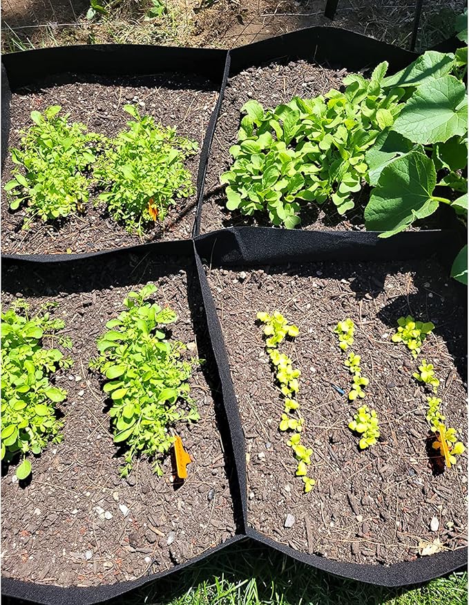 CJGQ Fabric Raised Garden Bed 4x2x1ft Garden Grow Bed Bags for Growing Herbs, Flowers and Vegetables 55 Gallon CJGQ