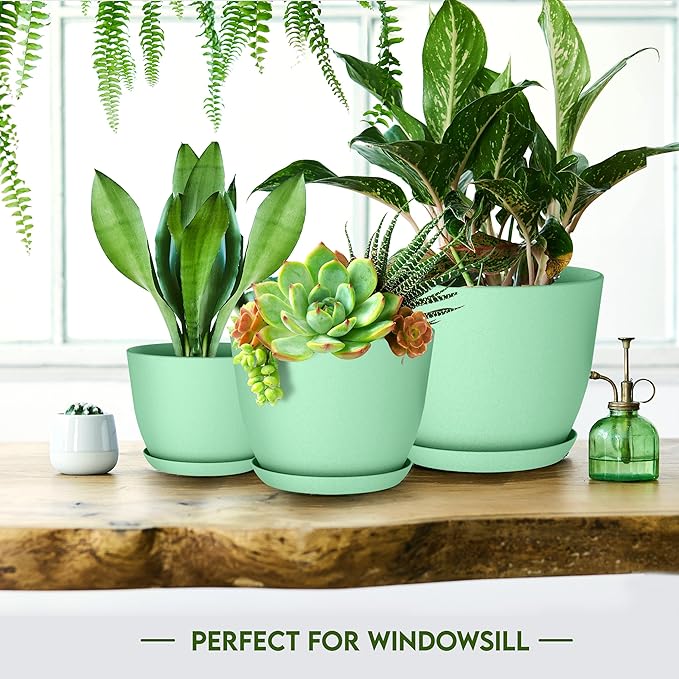 Utopia Home - Plant Pots Indoor with Drainage - 7/6.6/6/5.3/4.8 Inches Home Decor Flower Pots - Plastic Planters for Indoor Plants, Cactus, Succulents Pot (Mint, Pack of 10) UTOPIAHOME