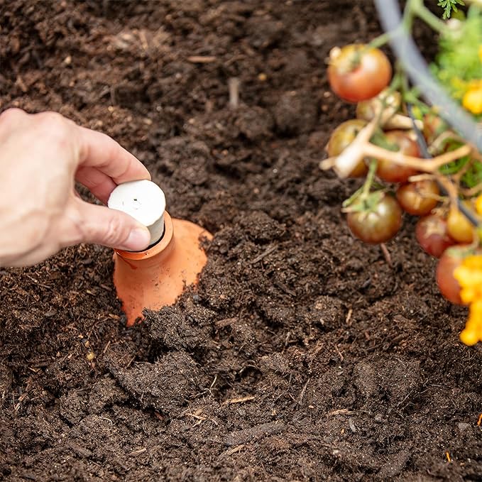 Back to the Roots Self-Watering Terracotta Olla Pot (Pack of 3), 700mL Provides 1 Week of Precision Watering BacktotheRoots