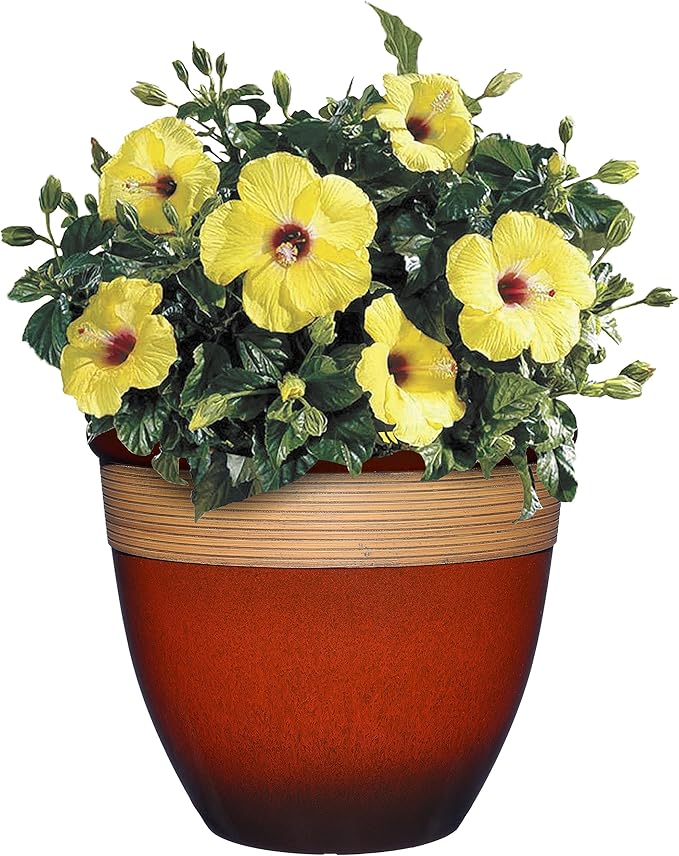 Classic Home and Garden Premiere Collection Planter, Abigail 15", Lava Red ClassicHomeandGarden