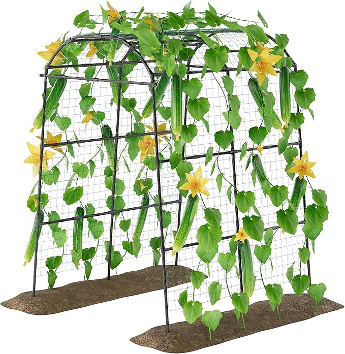 Miory Garden Arch Trellis for Climbing Plants Outdoor, Metal Plants Support Trellis for Climbing Vine Tomato Vegetable Flower Fruit, Cucumber Trellis for Raised Bed (71 x 83 Inch) Miory