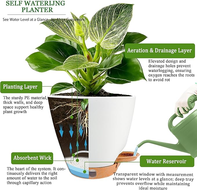 6 Inch Self Watering Pots for Indoor Plants (5-Pack) – Small Plastic Planters with Water Window, Drainage Holes & Trays, Indoor Outdoor Flower Pots for Herbs, Succulents, Home Garden Decor (White) Fielda