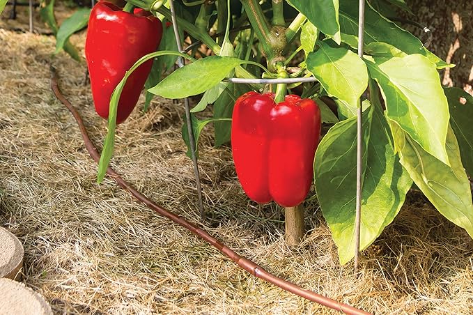 Rain Bird GARDENKIT Drip Irrigation Raised Bed Garden Watering Kit RainBird